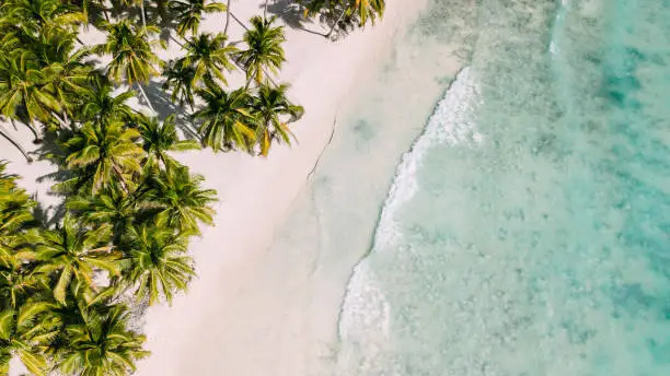 Photo of Beach with beautiful coastline. Palm trees