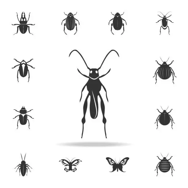 Vector illustration of grasshopper. Detailed set of insects items icons. Premium quality graphic design. One of the collection icons for websites, web design, mobile app