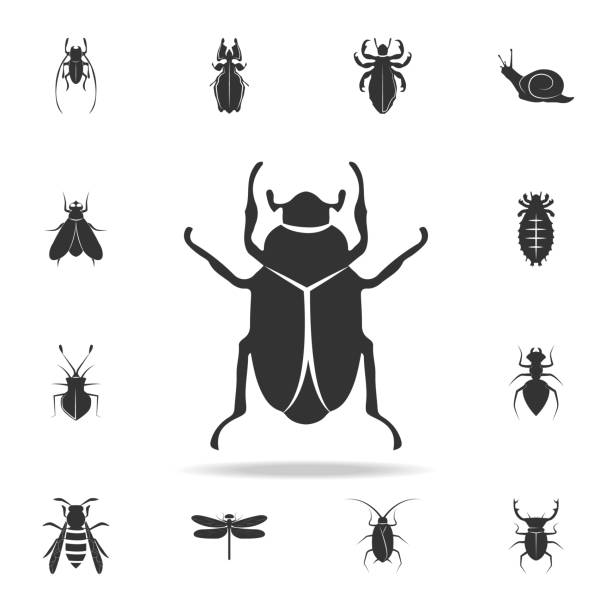 stockillustraties, clipart, cartoons en iconen met kever. uitgebreide set van insecten items iconen. premium kwaliteit grafisch ontwerp. een van de collectie iconen voor websites, webdesign, mobiele app - kever