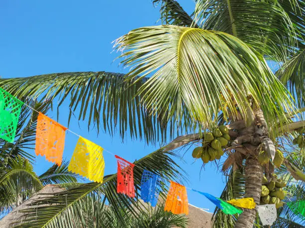 Colorful flags fly over palm trees in Mayan Riviera, Mexico.