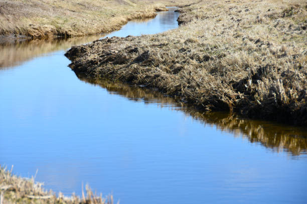 istock A small river flows near the city in the spring 945394922