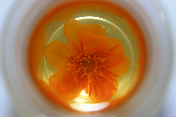 Chinese globeflower in the tea