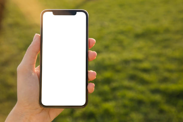 istock Woman Hand Holding Mobile Phone 945398174