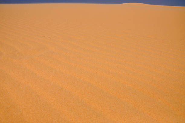 istock San dunes in the desert 945402444