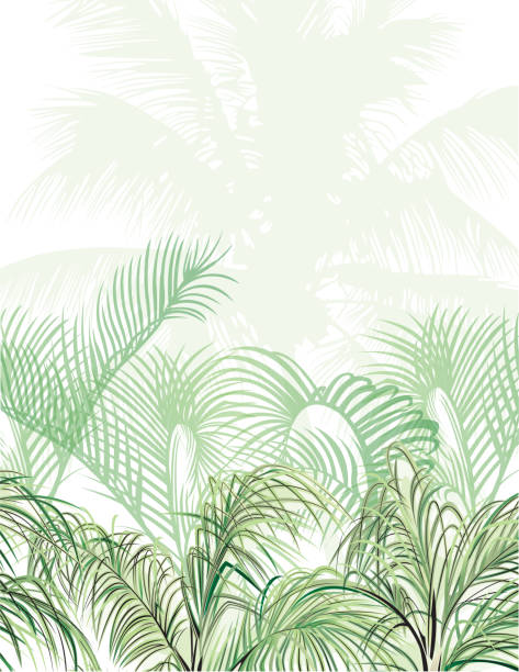 열 대 디자인 서식 파일 복사 공간 텍스트-자연 꽃 잎 배경에서 원활한 패턴 / - green abstract backgrounds leaf stock illustrations