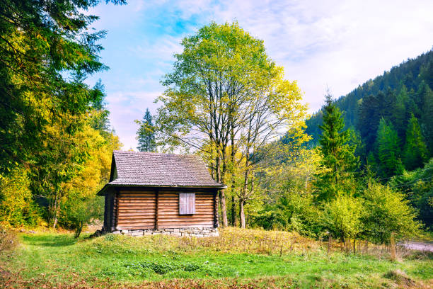 istock Wooden house in the mountains 945406244