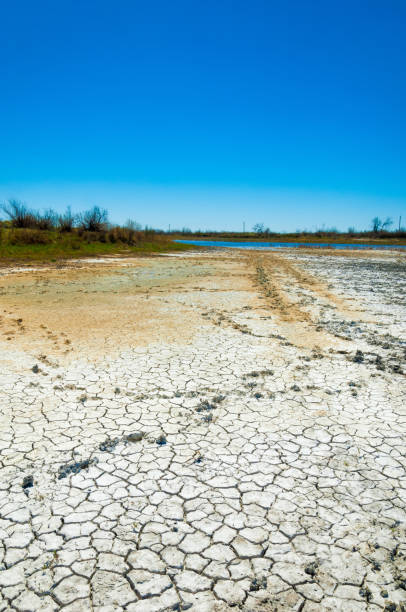 istock texture of dry land 945406428
