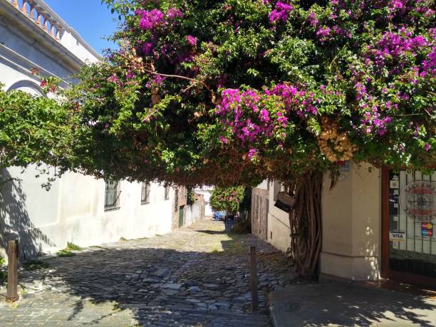 istock Flowers  over the street 945409340