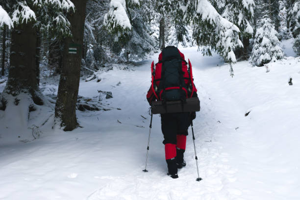 istock A back of a hiker in the winter forest 945418708