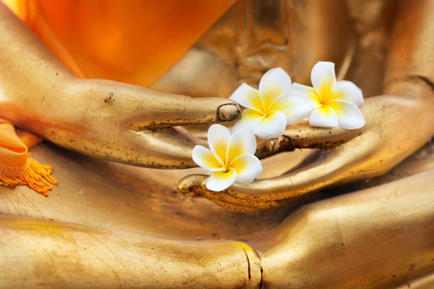 istock flower in hand image of buddha 945418980