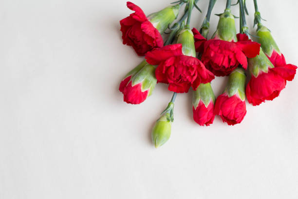 istock Image of red carnation Mother's Day 945423304