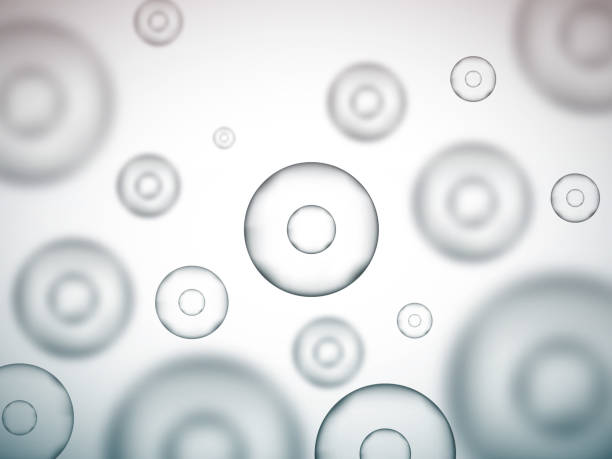 Molecule vector background. Round cells. Grey science illustration Molecule background. Round cells. Grey science vector background stem cell illustrations stock illustrations
