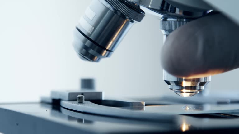 Examining of test sample under the microscope in laboratory.