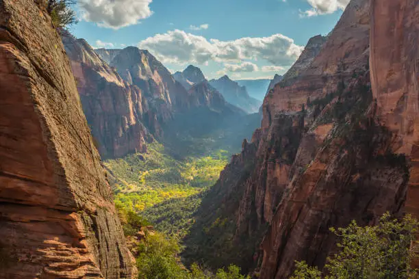 Colorful, rocky valley with river and wavy roads, green forest and blue sky with clouds, photographed from cliff. Zion National Park, Angels Landing Peak, Utah, United States.