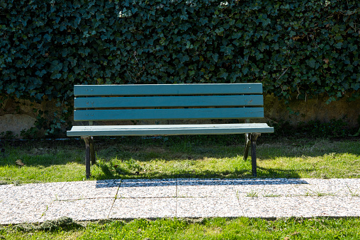 Wooden bench and garbage can in the park close up