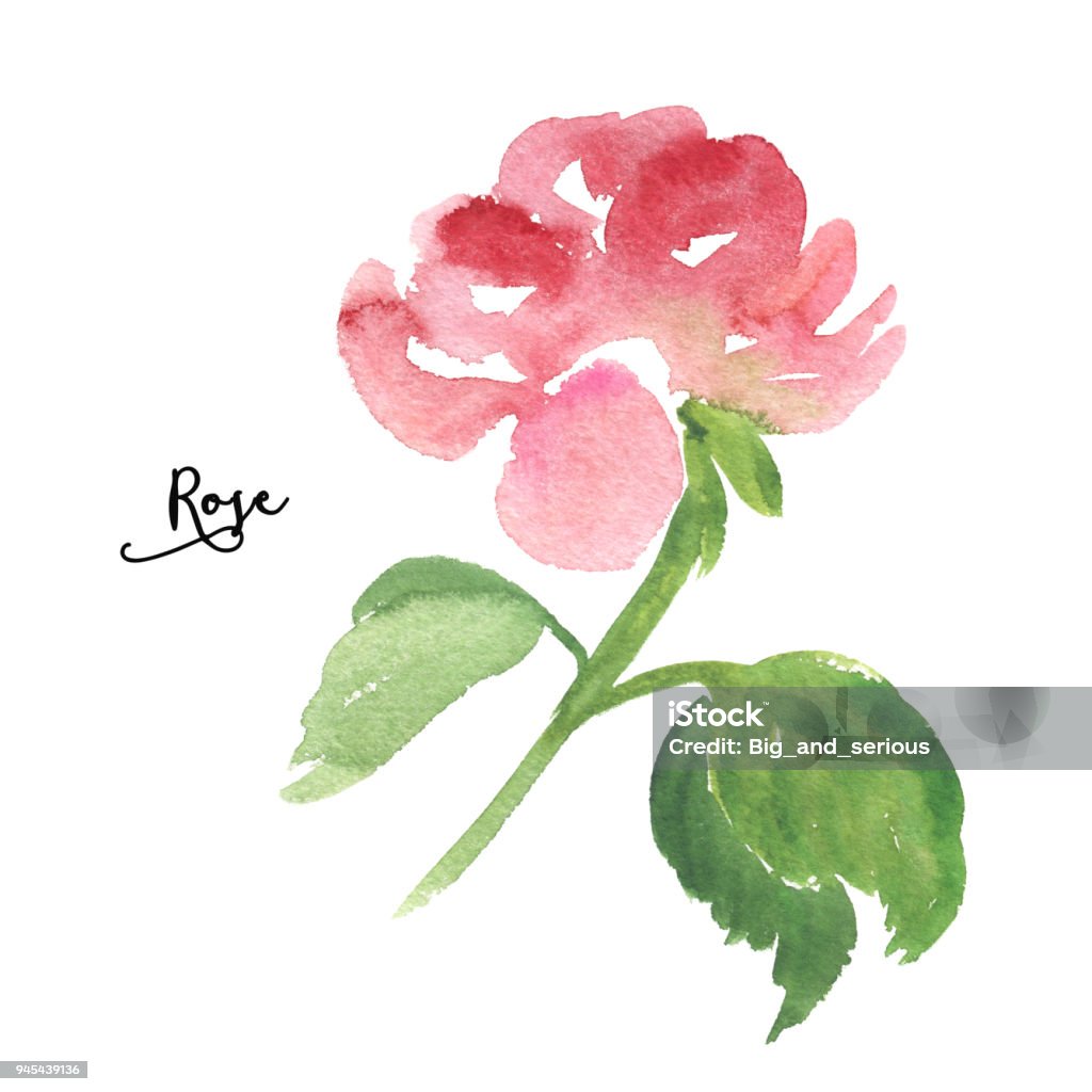 Sketch, sumi-e style watercolor rose with leaves Decorative sketch, sumi-e style watercolor rose with stem and leaves isolated on white background. Simplified sketch style watercolor painting of single red rose, decoration element Art stock illustration