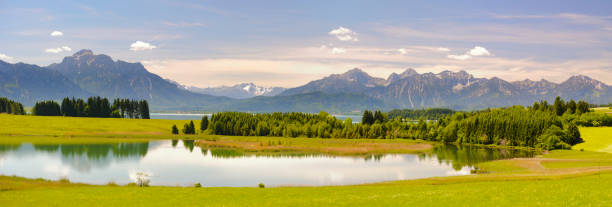 istock panoramic landscape in Bavaria with alps mountain range and lake Forggensee 945443236