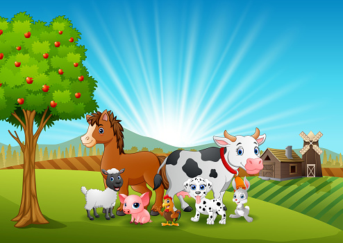 Ilustración de Animales Felices Sobre Fondo De Granja y más Vectores Libres de Derechos de Agricultura - Agricultura, Aire libre, Alegre - iStock Ilustración de Animales Felices Sobre Fondo De Granja y más Vectores Libres de Derechos de Agricultura - Agricultura, Aire libre, Alegre - iStock