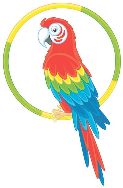 забавный попугай ара отдыхает - parrot multi colored bird perching stock illustrations