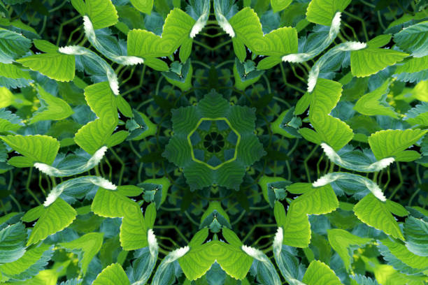 Patterned background Abstract patterned background. kaleidoscope pattern photos stock pictures, royalty-free photos & images