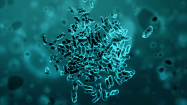 Cloning of Bacteria, beautiful 3d animation