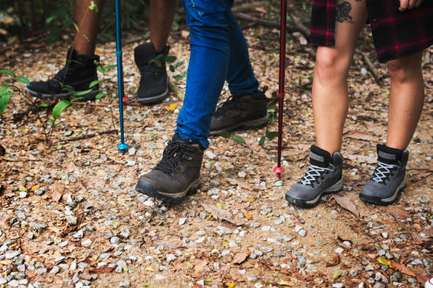 istock Trekking with friends in a forest 945479612