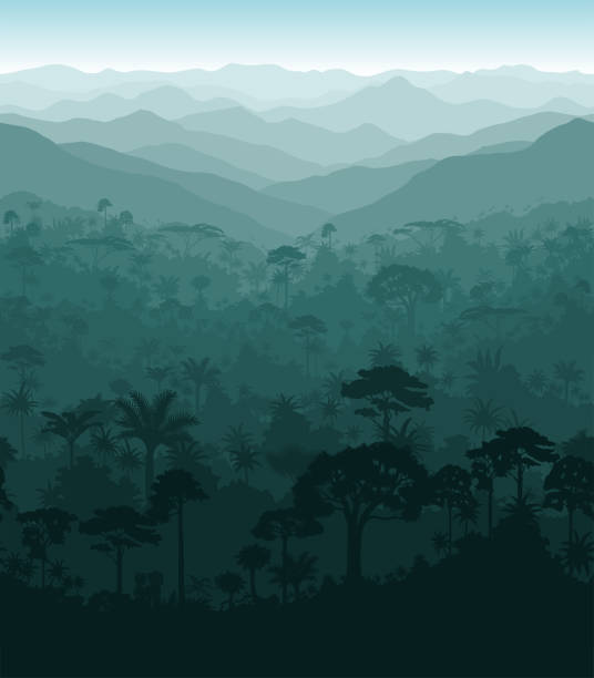 vektor horizontale nahtlose tropischen regenwald-dschungel hintergrund - amazonia stock-grafiken, -clipart, -cartoons und -symbole