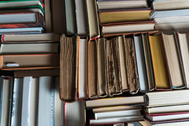 istock Many books in a bookstore or library 945483938