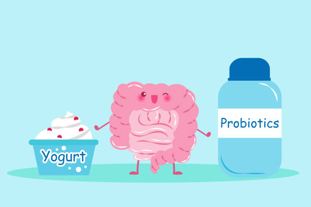 darm mit probiotika - dickdarm verdauungstrakt grafiken stock-grafiken, -clipart, -cartoons und -symbole