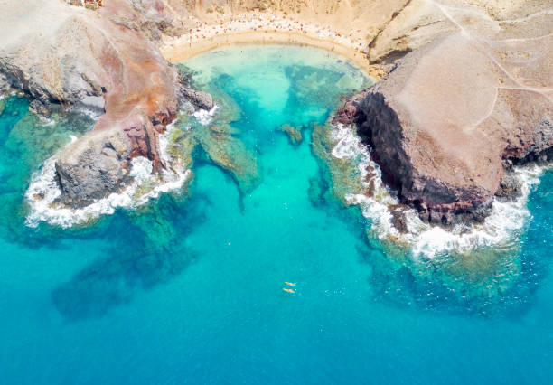 vista aérea de la gente en la playa - isla de lanzarote fotografías e imágenes de stock