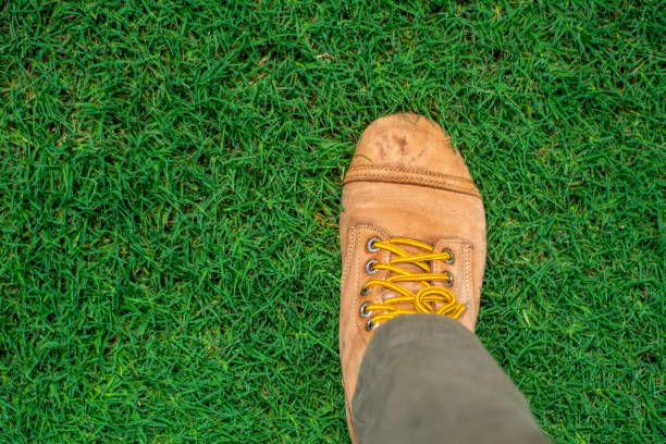 istock Leather shoes on green grass. 945532808