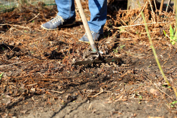 istock Woman cleans the garden in early spring and empty space for text 945543780