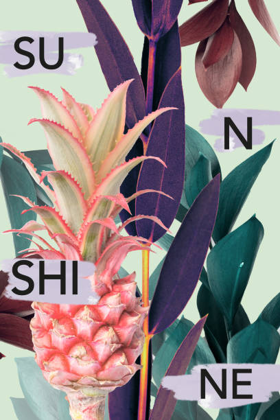 istock creative collage with pineapple, leaves and SUNSHINE sign 945545078