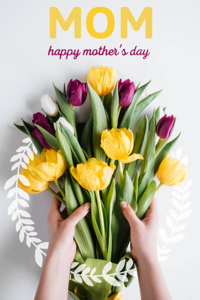 cropped view of hands with bouquet of spring tulips with happy mothers day inscription - bouquet mothers day tulip flower imagens e fotografias de stock