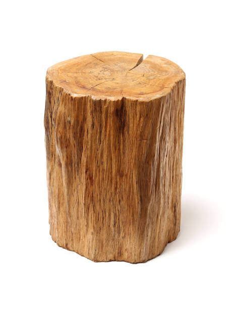 istock Log Wood isolated on a white background 945550202