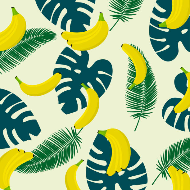 illustrations, cliparts, dessins animés et icônes de banane avec fond lief tropical. modèle sans soudure avec les bananes et les feuilles de palmiers tropicaux - 2640