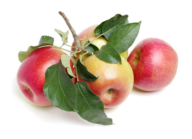 istock Fresh apples and scattered leaves isolated on white  background 945570982