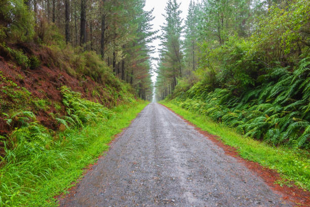 istock a straight road disappearing into the distance 945573686