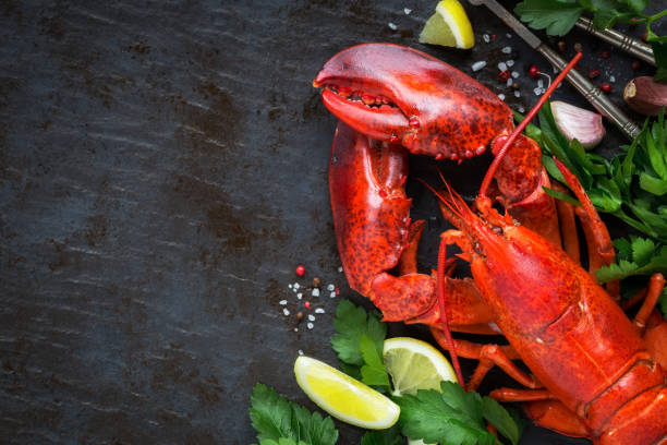 Steamed lobster on black background with copy space Whole red lobster with fresh parsley, slices of lemon, garlic, salt and pepper beans. Overhead view with plenty of copy space for your text crab seafood photos stock pictures, royalty-free photos & images