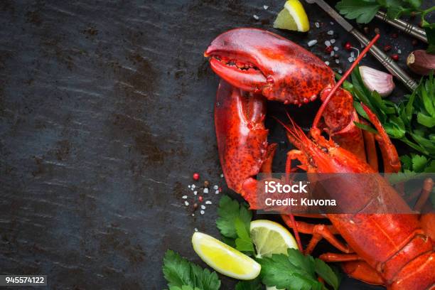 Steamed Lobster On Black Background With Copy Space Stock Photo - Download Image Now