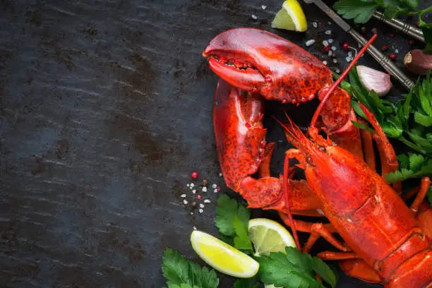 Photo of Steamed lobster on black background with copy space