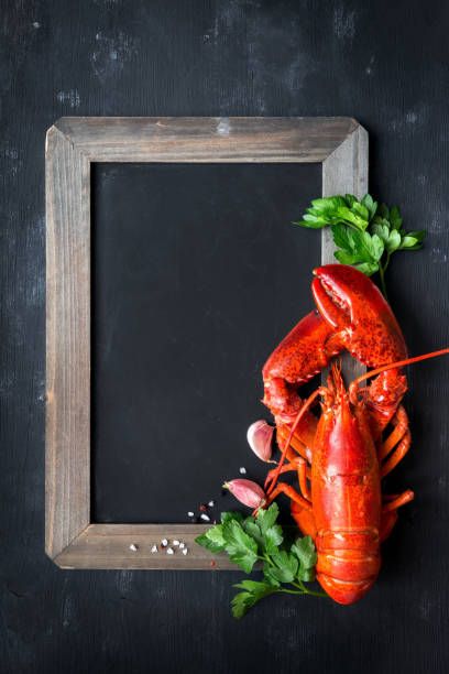 Steamed lobster on a black board with copy space stock photo