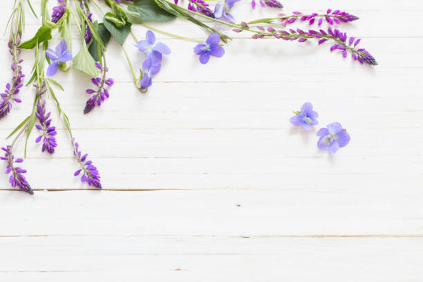 Purple iris flowers on wooden background with copy space. Top view