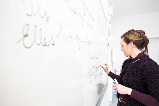 Beautiful mature French teacher in front of a whiteboard, secondary school in Primorska region, Slovenia, Europe.