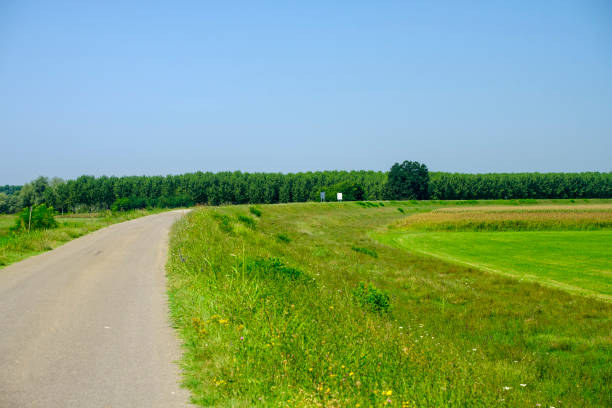 Rural landscape along the Po cycle path Rural landscape along the Po cycle path near Guzzafame (Lodi, Lombardy, Italy) at summer lodi italy stock pictures, royalty-free photos & images