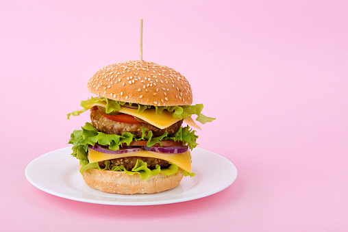 Delicious double cheeseburger on a plate on pink background