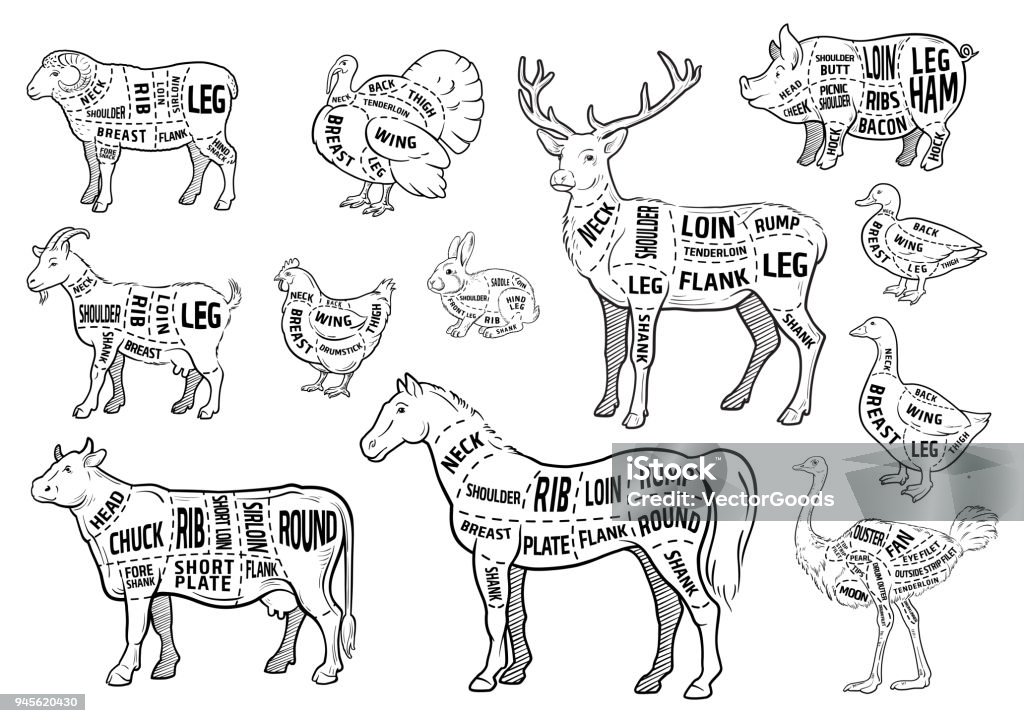 Jeu d’icônes d’animaux de ferme. Collection d’étiquettes avec belle comme chèvre poulet porc sanglier canard OIE cheval vache cerf de Turquie lièvre autruche butcher shop, steak house. - clipart vectoriel de Couper libre de droits