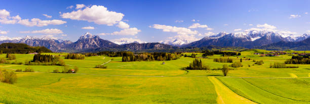 paesaggio panoramico in baviera con catena montuosa delle alpi - allgau bavaria mountain horizon foto e immagini stock