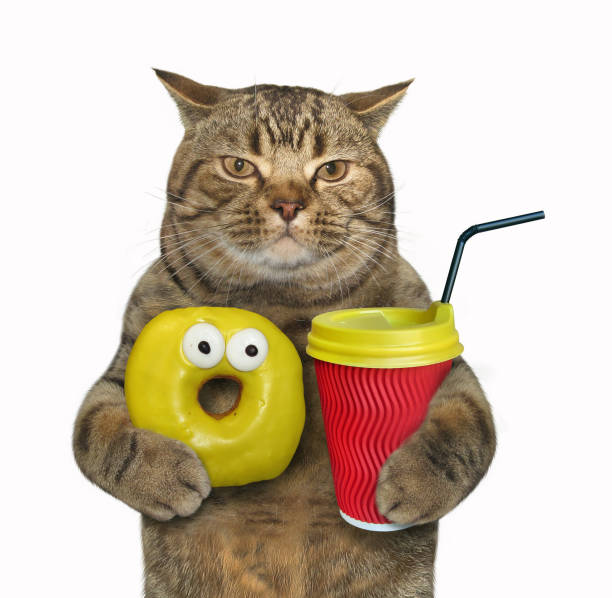 istock Cat with a yellow donut and cappuccino 945646284