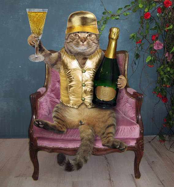 istock Cat with wine in an armchair 945646286